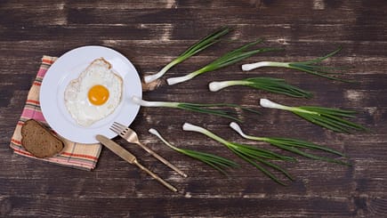 Egg , chives, plate, knife and fork look like sperm competition, Spermatozoons floating to ovule . Close up